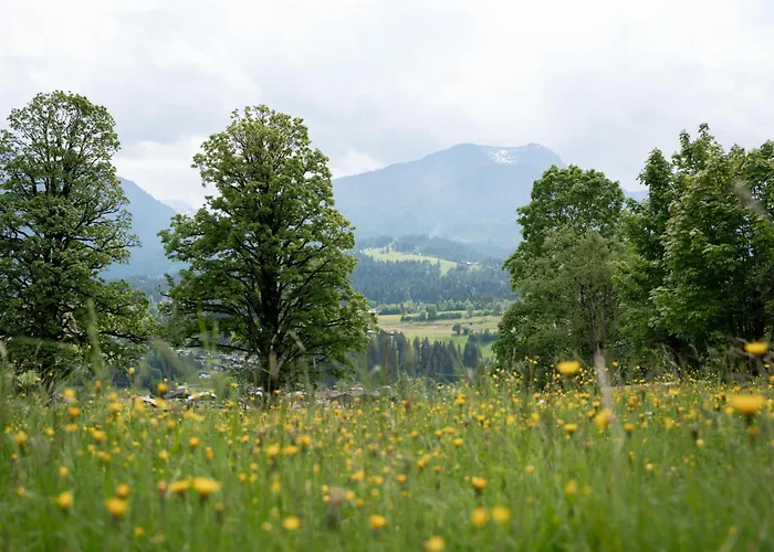 شقة Hausbacher-bichlhof *